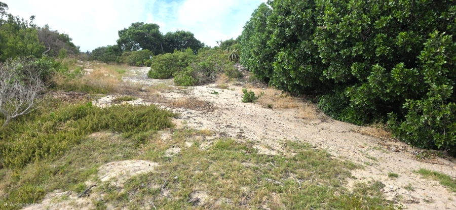 Commercial Property for Sale in Flamingo Bay Western Cape